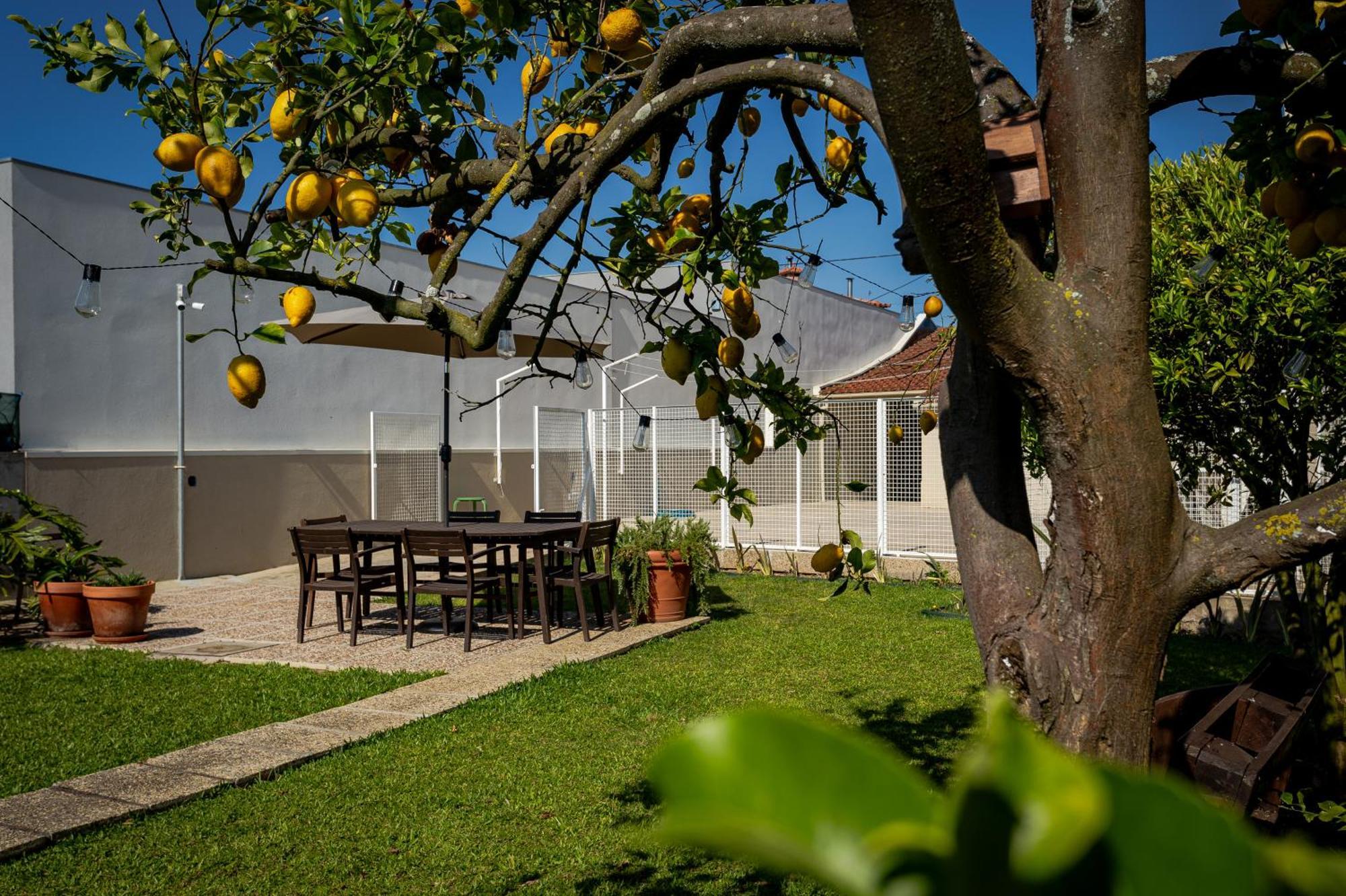 708 Mugnano House Aveleda Βίλα Vila do Conde Εξωτερικό φωτογραφία